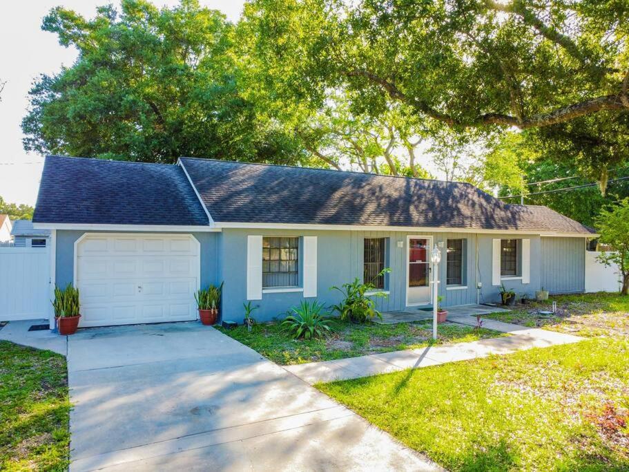 Town 'N' Country Cozy Corner, Your Florida Fun Hub Villa Tampa Luaran gambar